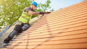 Best Gutter Installation and Repair  in Rainelle, WV