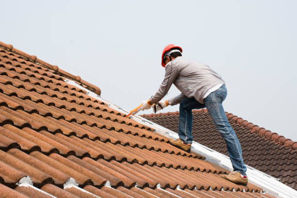 Best Roof Moss and Algae Removal  in Rainelle, WV