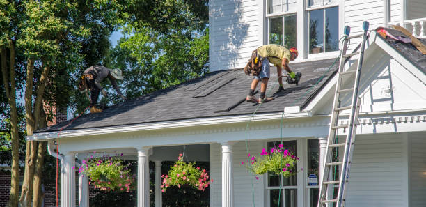 Best Metal Roofing Installation  in Rainelle, WV